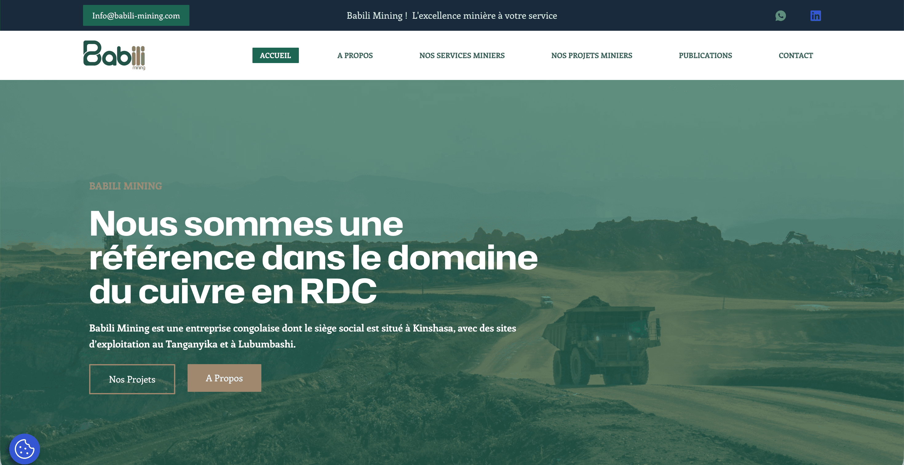 Aperçu du projet Babili Mining