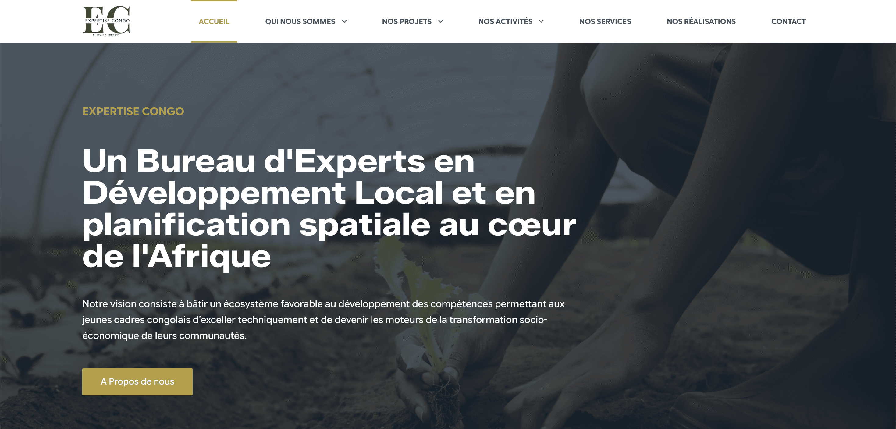 Aperçu du projet ExpertiseCongo